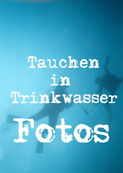 hintergrundtauchen1.jpg