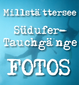 sduferfotoslink.jpg
